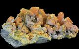 Orange Orpiment and Realgar - Melco Gold Mine, Utah #52393-3